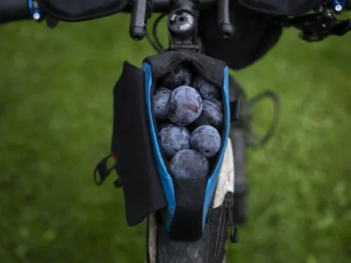 Revelate Designs Mag Tank 2000 filled with plums